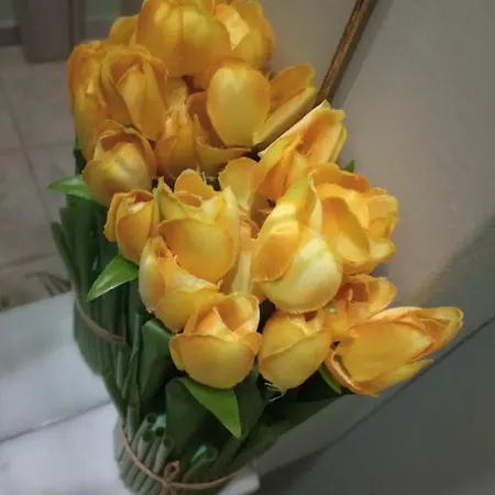 Estia Apartament Nauplion