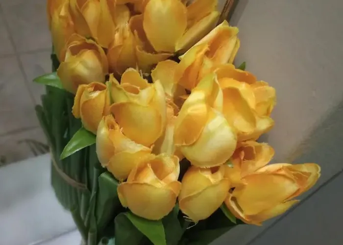 Estia Apartamento Náuplia